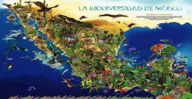 El Cuidado De La Biodiversidad E Identidad Mexicana www.entornoturistico.com
