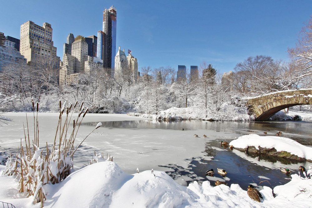 Nieve en Nueva york