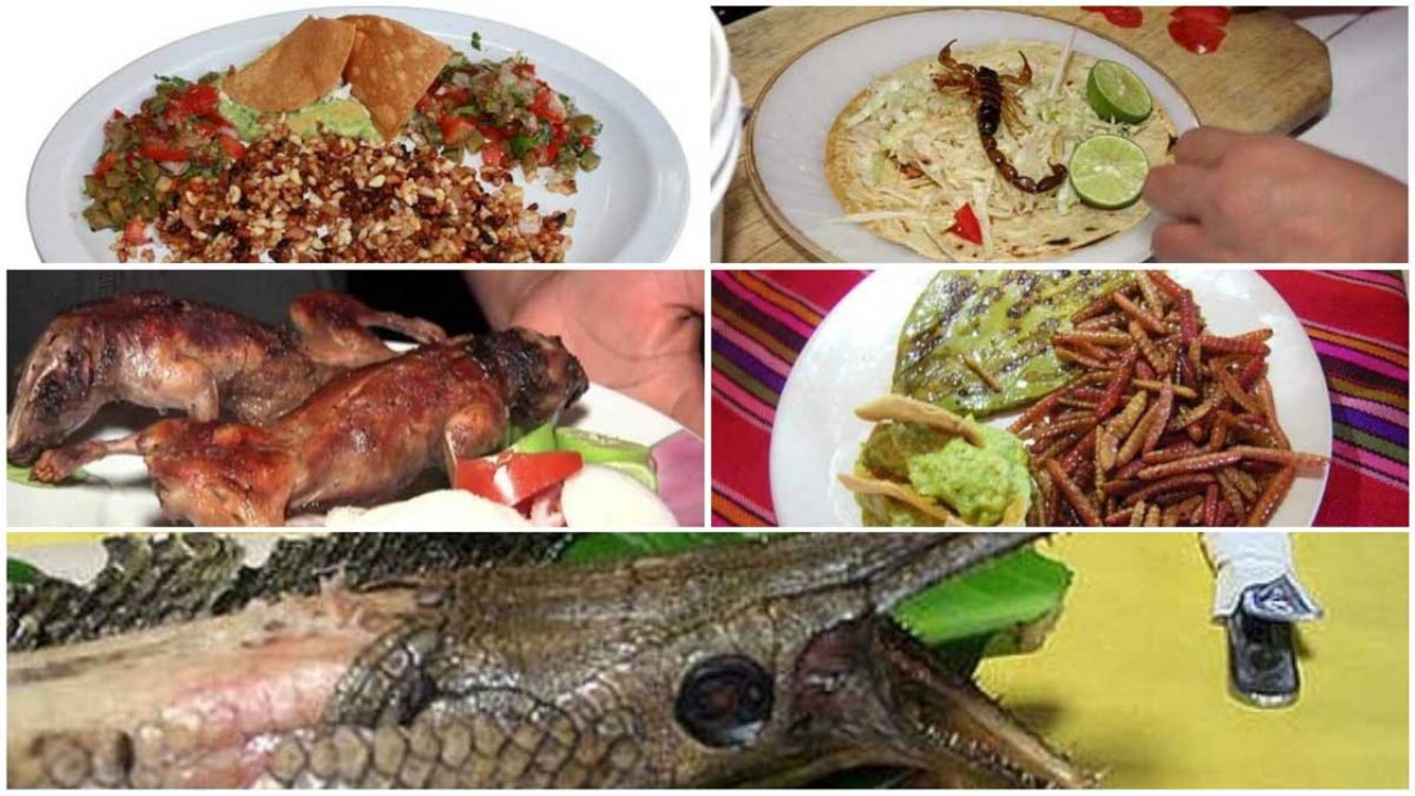 Gastronomía mexicana exótica: sólo para osados - Entorno Turístico