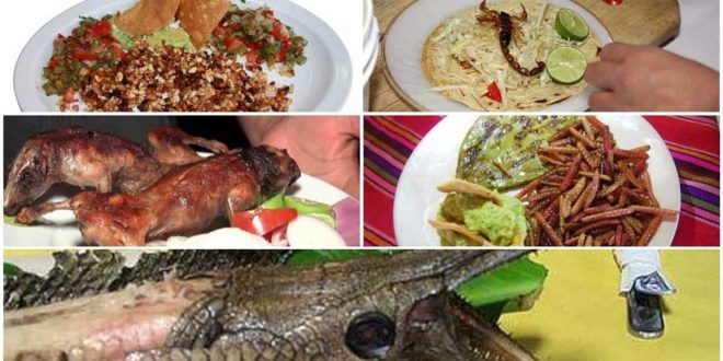 Gastronomía-mexicana-exotica