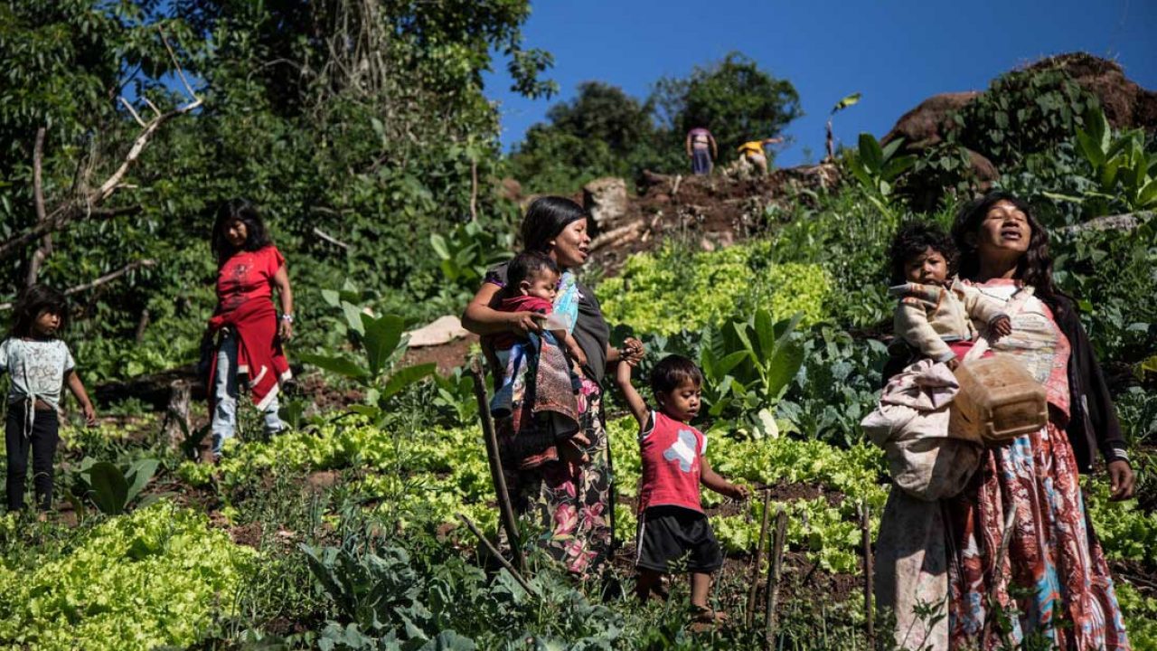 Pueblos originarios, cultura Mbya-Guaraní: Turismo, Cultura y Sostenibilidad - Entorno Turístico