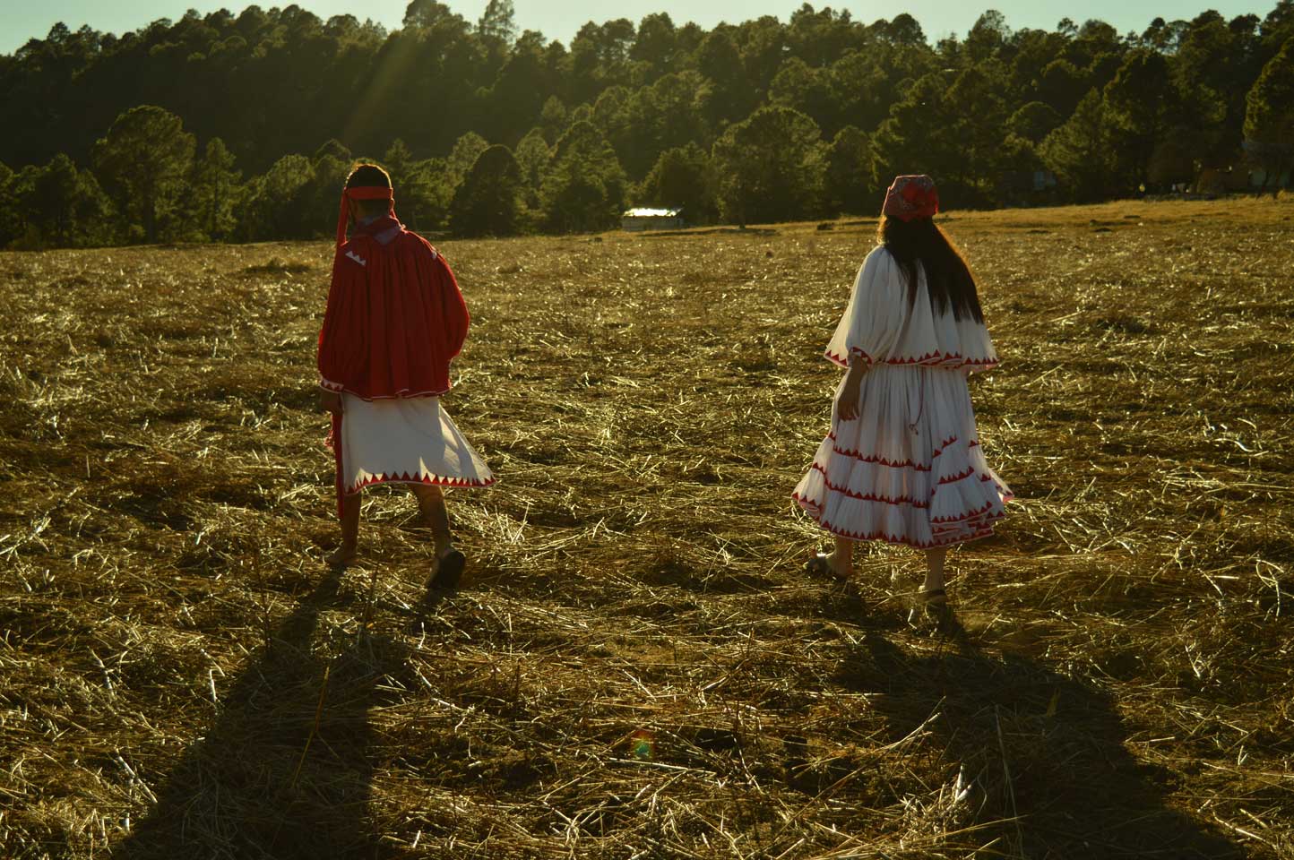 Propuesta Para Impulsar El Desarrollo Del Turismo Rural En La Sierra Tarahumara Entorno Turistico