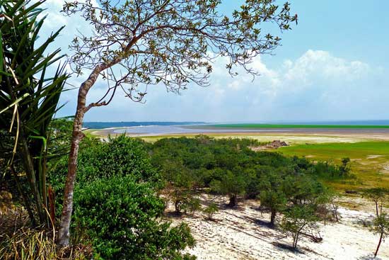Rio amazonas