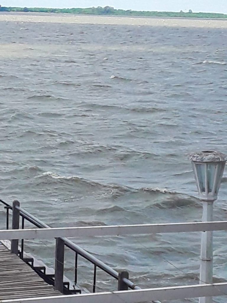 laguna de Chascomús 2