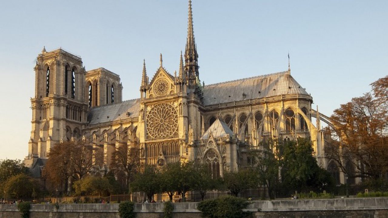 Cortarán mil árboles para la reconstrucción de la Catedral de Notre Dame  ¿Valdrá la pena? - Entorno Turístico