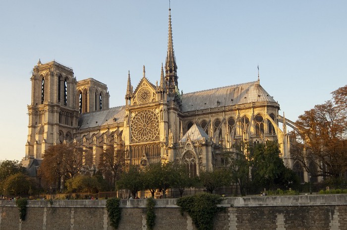 Cortarán mil árboles para la reconstrucción de la Catedral de Notre Dame  ¿Valdrá la pena? - Entorno Turístico
