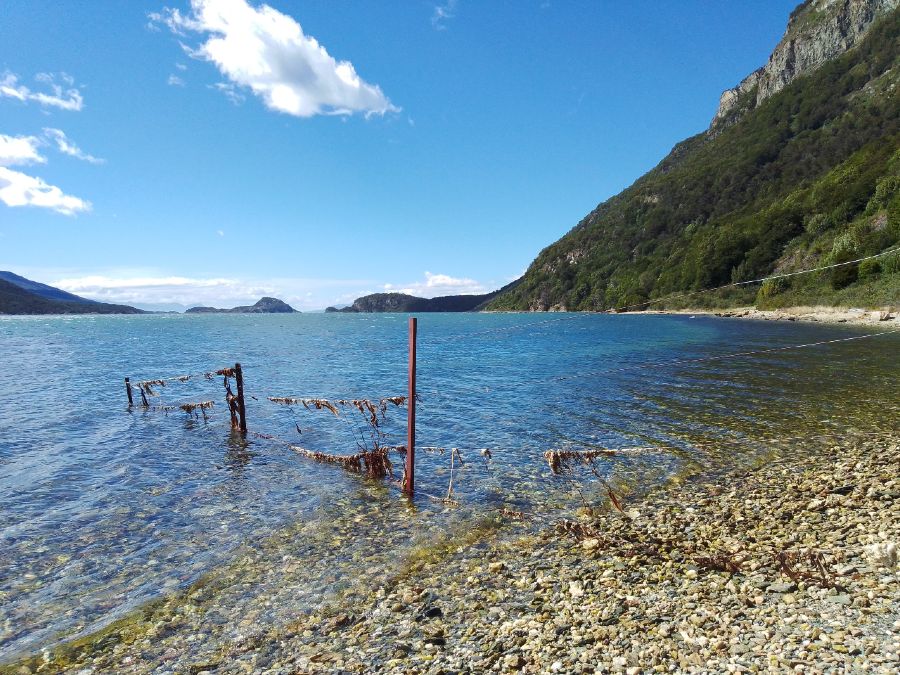 bahía Lapataia 1