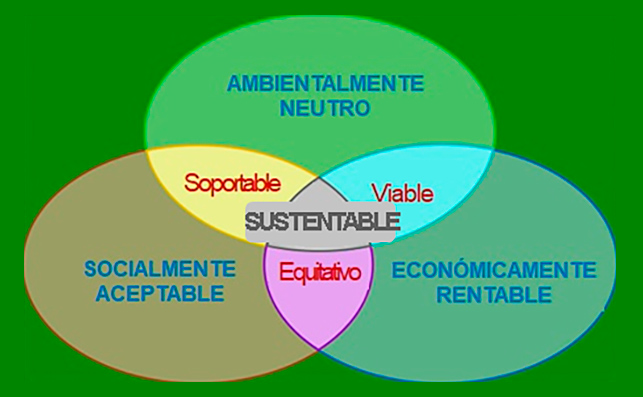 3 áreas de la sustentabilidad