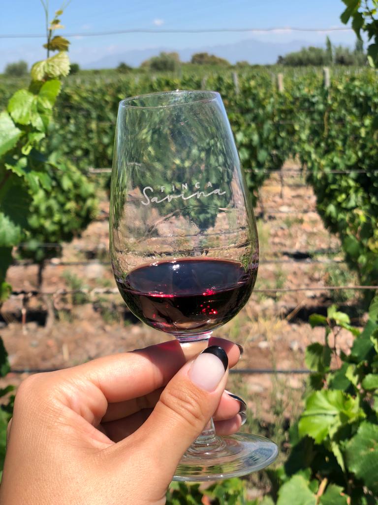 Welocal - Copa de vino