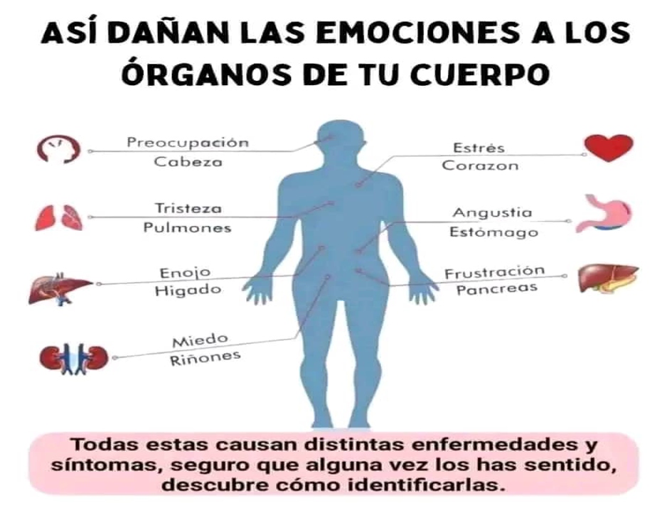 Daño de las emociones al cuerpo