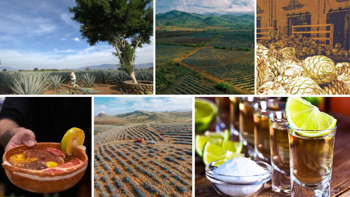 Collage de elementos del Tequila