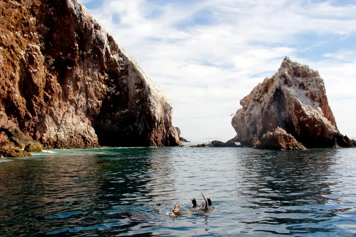 Isla Farallón en Sinaloa