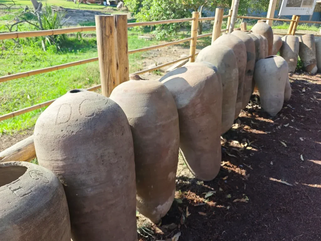 Barricas de pisco