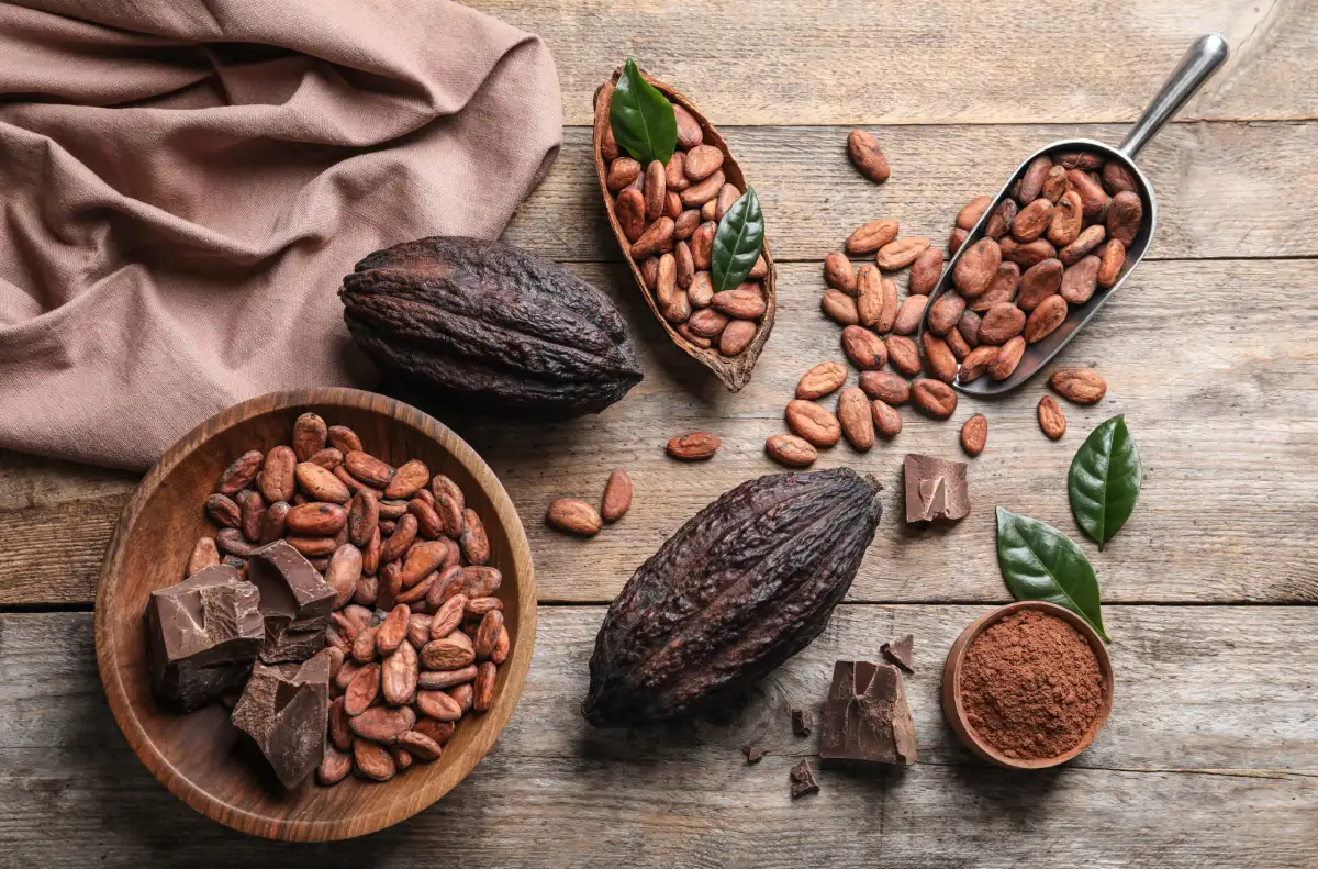 Cacao y chocolate