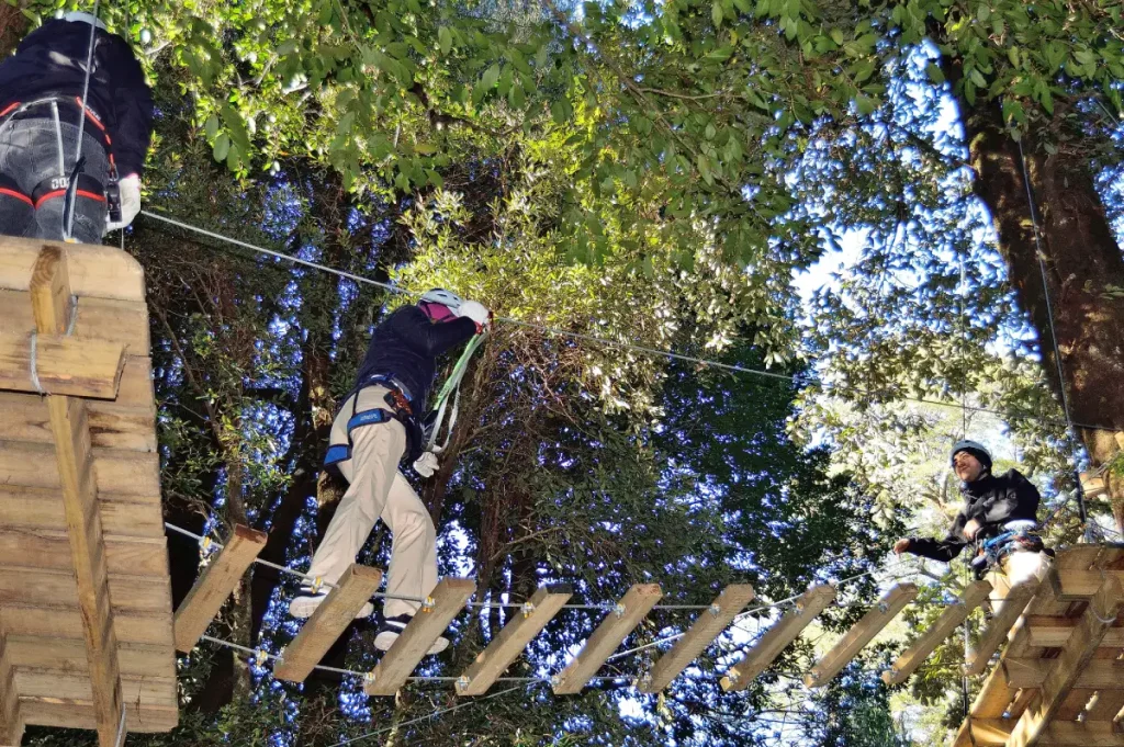 arborismo y canopy parque neltume