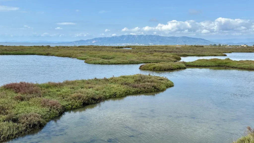 humedales-delta-del-ebro