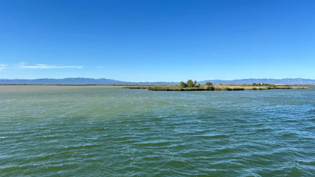 Paseo en barco en el Delta de l’Ebre
