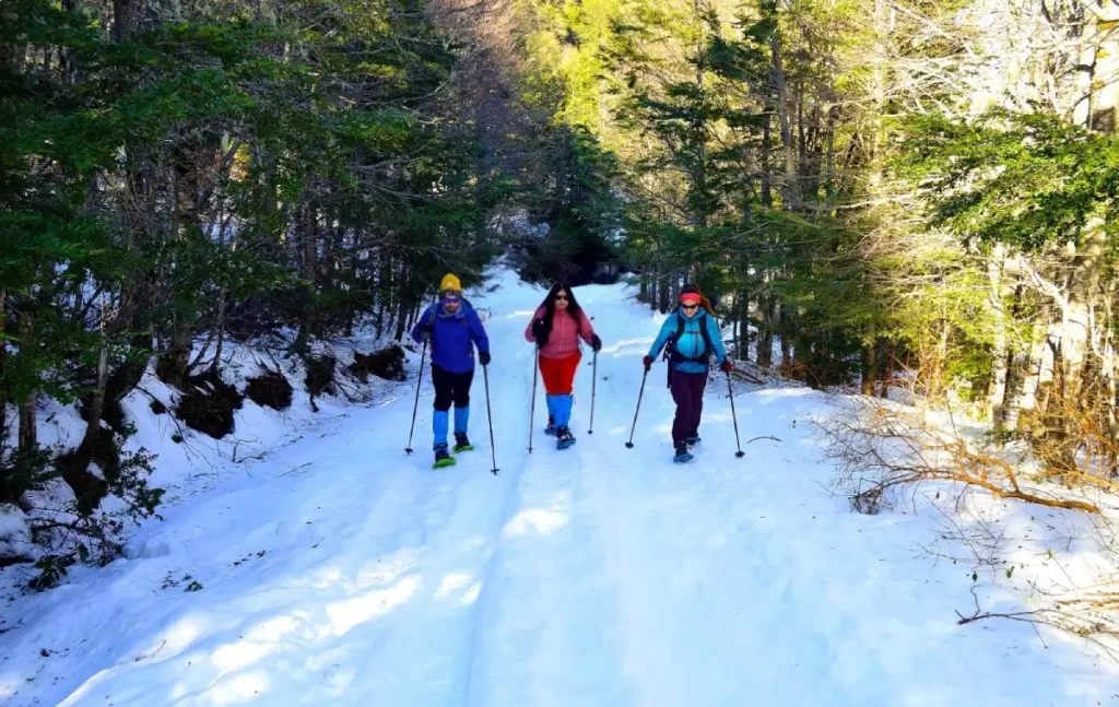 raquetas de nieve reserva nacional mocho choshuenco.