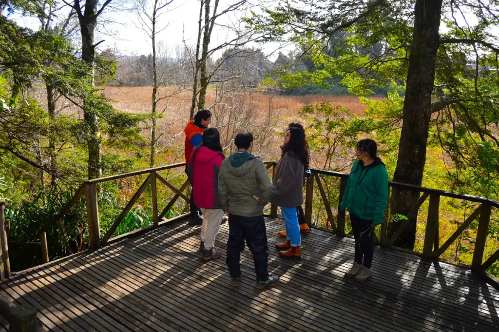 visitantes Parque Urbano El Bosque