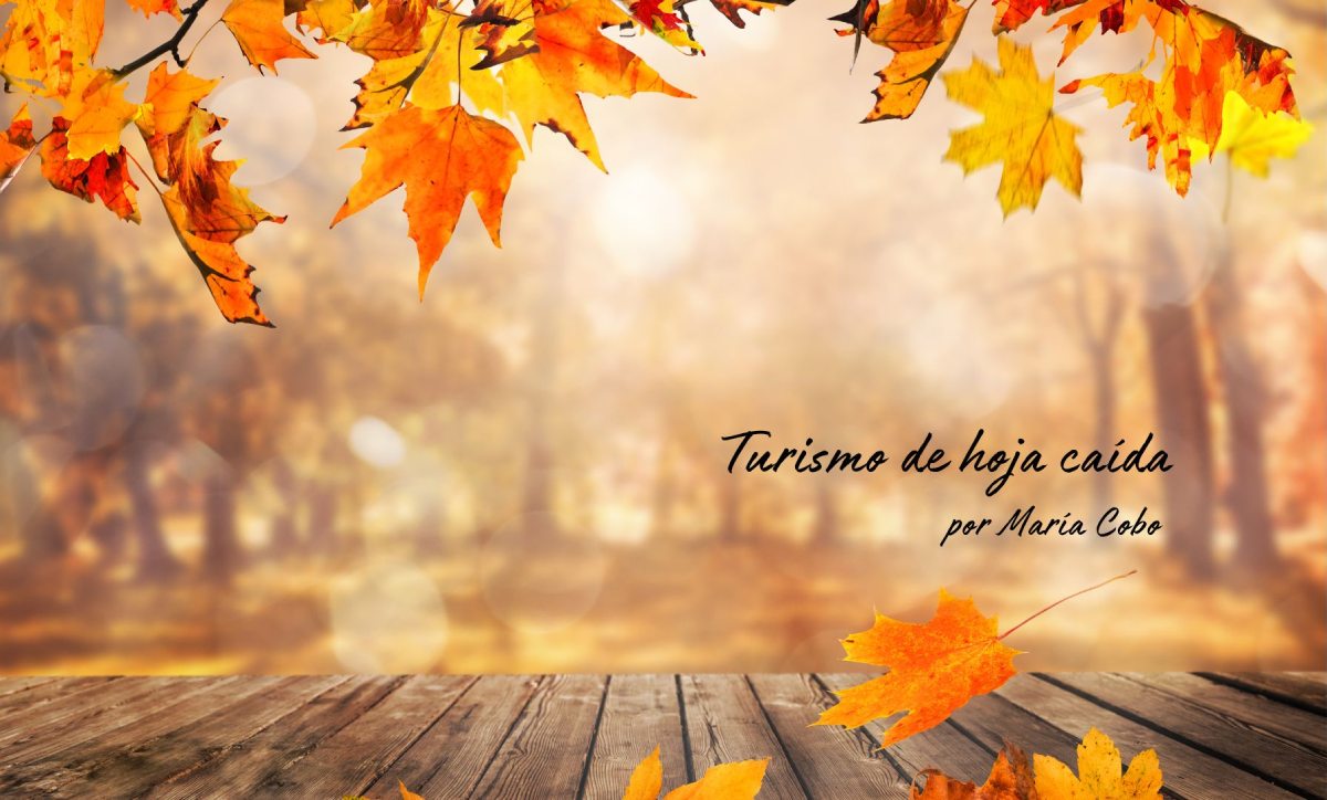 Turismo de hoja caída