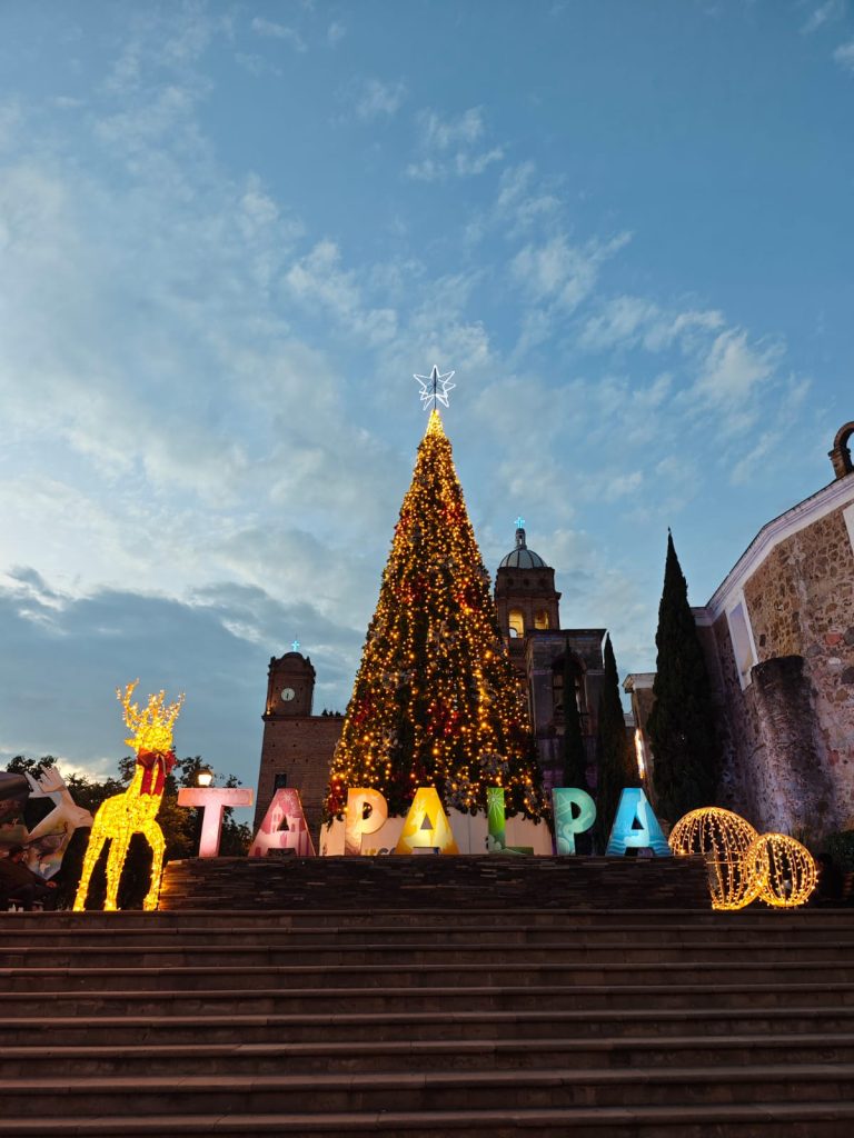 Árbol de Navidad en Tapalpa