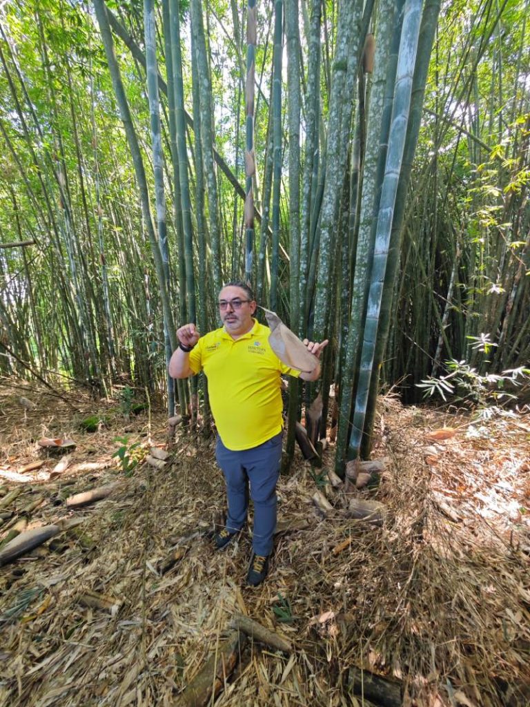 Alejandro González en el bosque de bambú