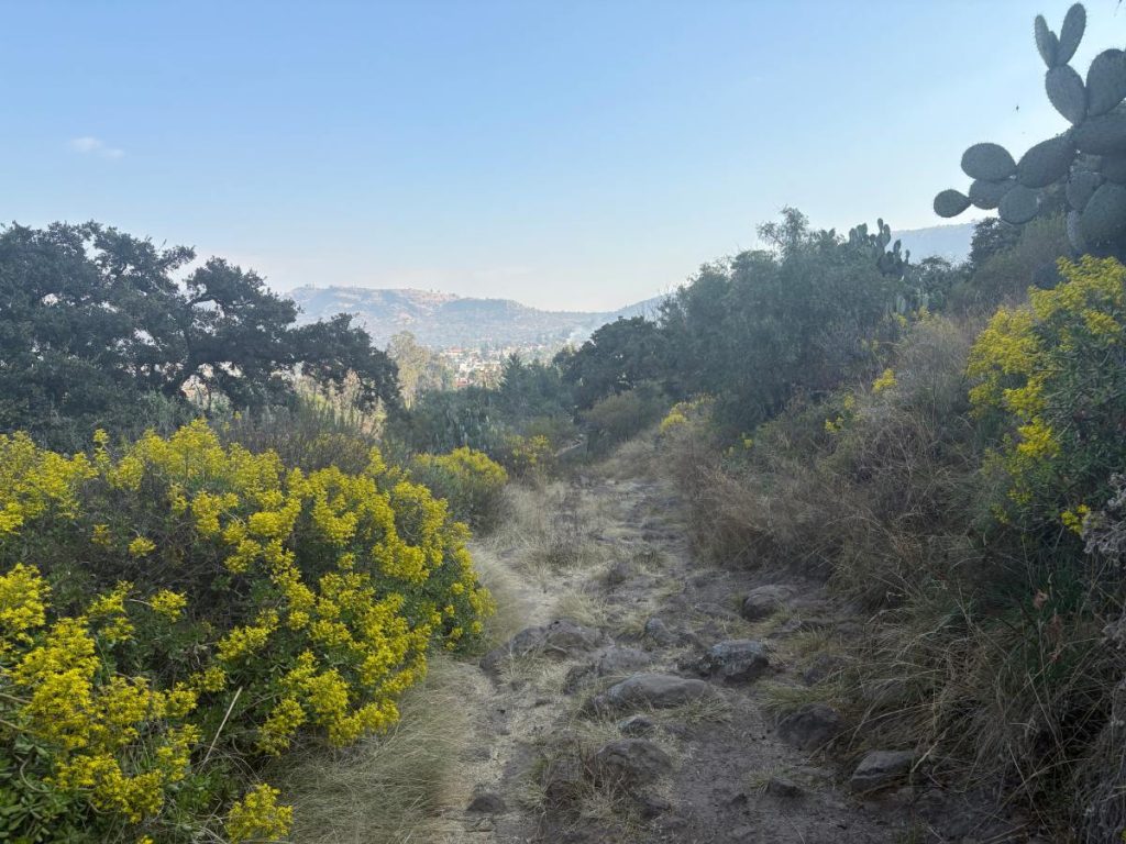 Cerro de Tetzcotzinco 2