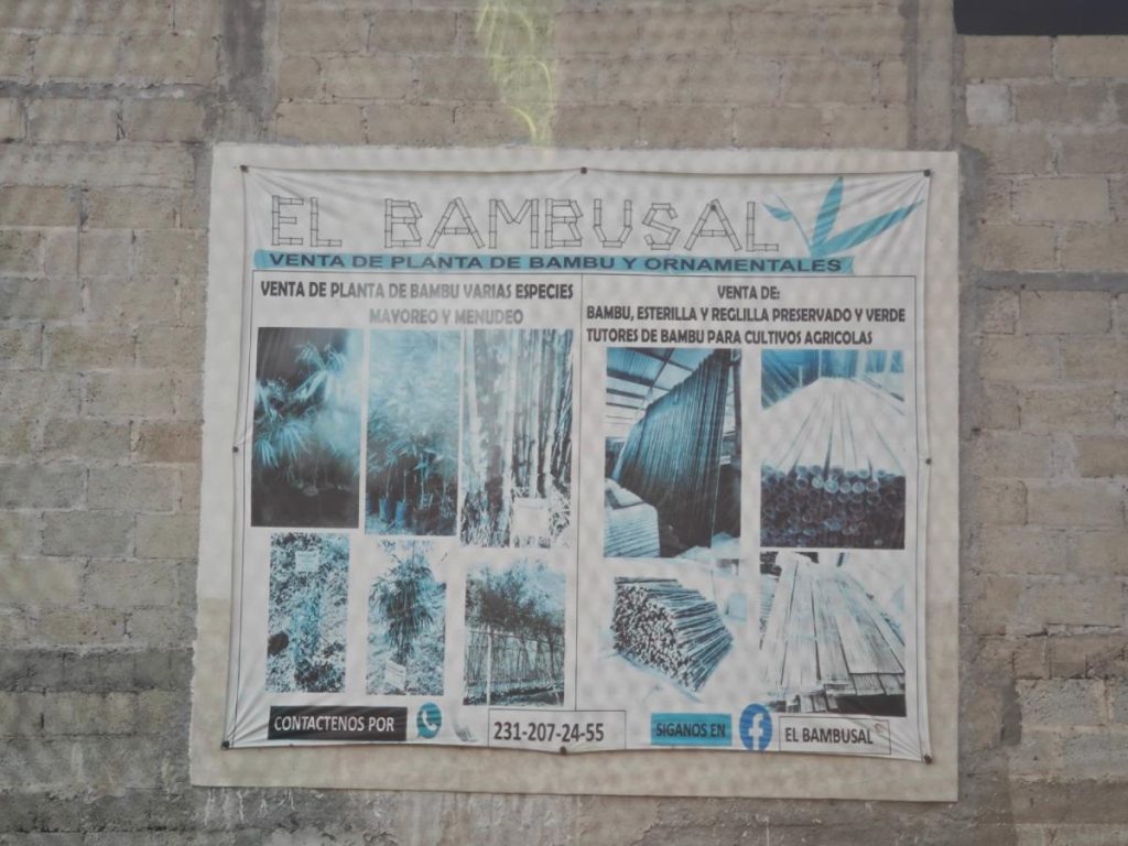 El Bambusal en Teziutlán