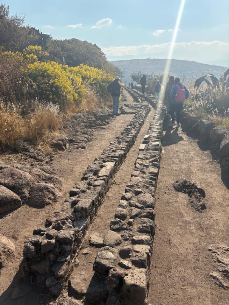 Zona arqueológica en el cerro de Tetzcotzinco 4