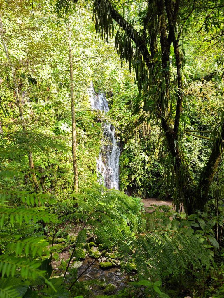 Cascada en el Área Natural Blanco Pitaya