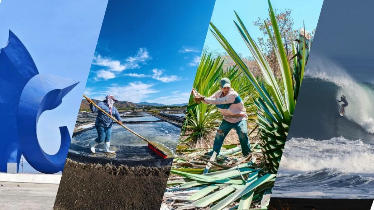 Collage de Manzanillo