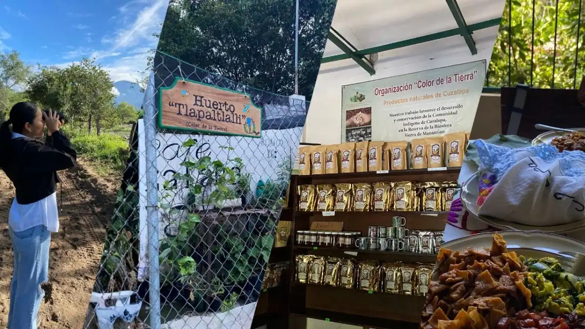 ruta del café en Cuzalapa