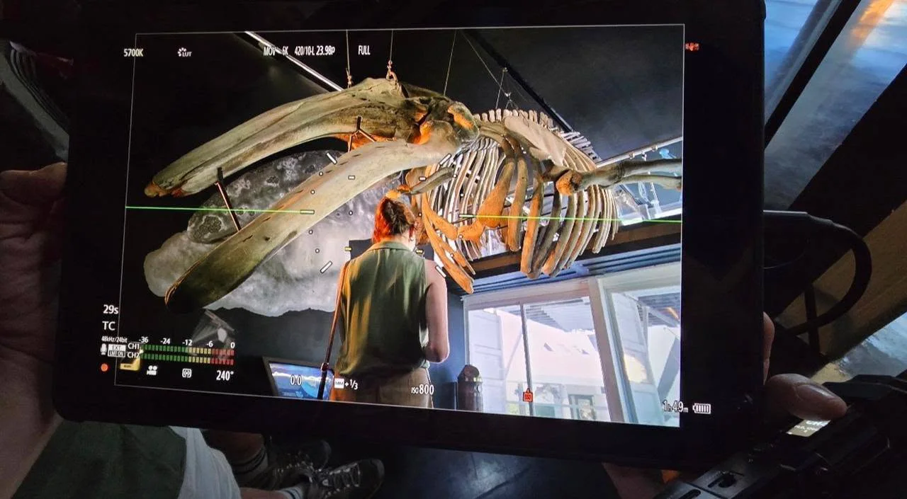 Filmación en el Museo de la Ballena en Mazatlán