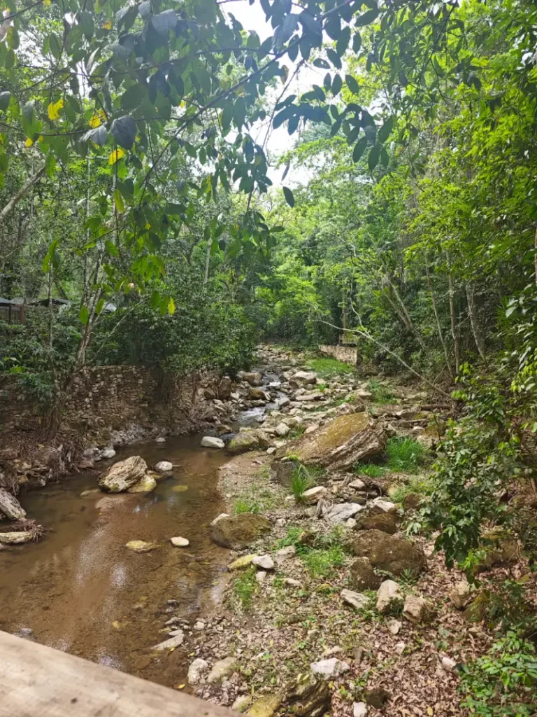 Río en Macaw Mountain