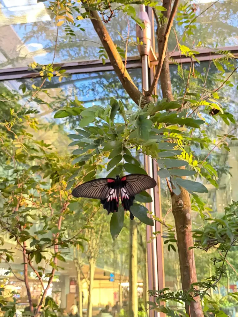 Butterfly Garden en Changi Airport