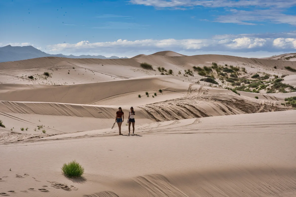 Dunas de Samalayuca