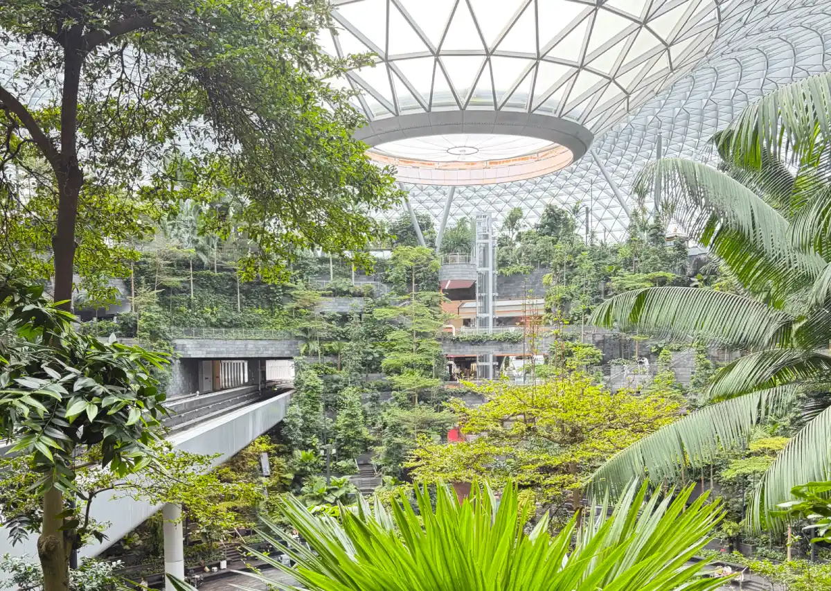 Shiseido Forest Valley en Changi Airport