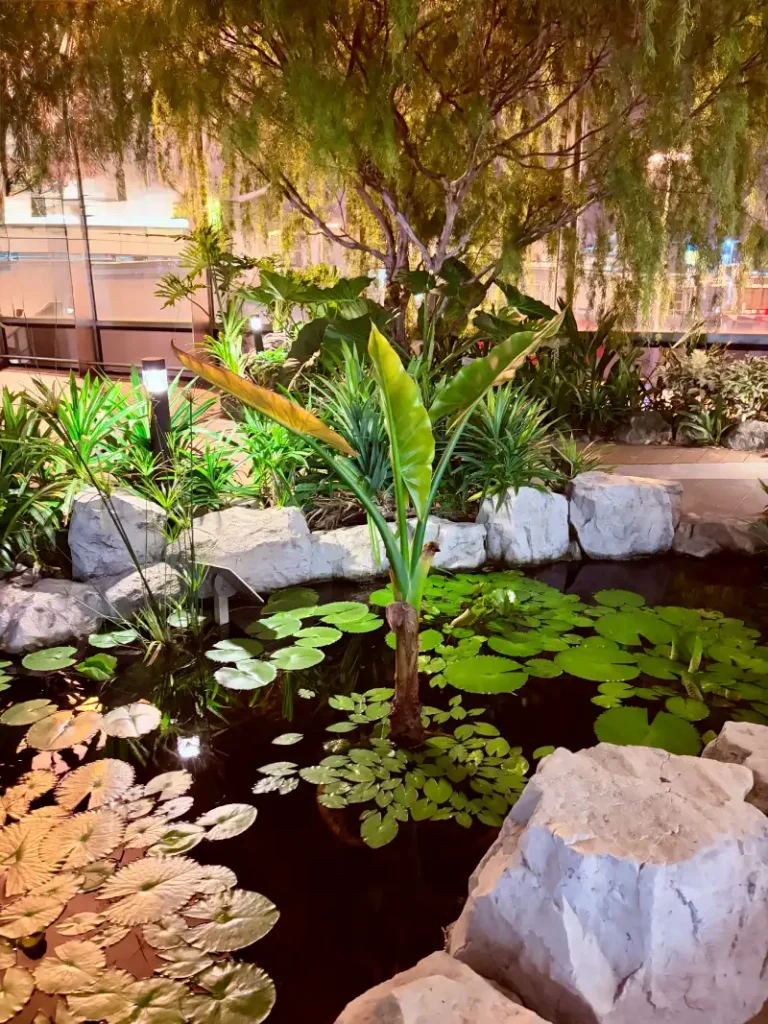 Water Lily Garden & Koi Pond en Changi Airport