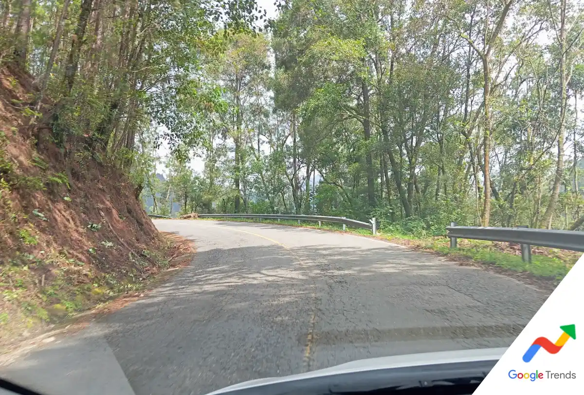 Carretera 175 Oaxaca-Puerto Escondido Google Trends