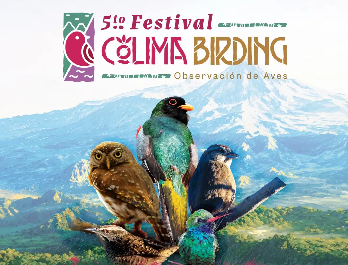 Quinto Festival Colima Birding