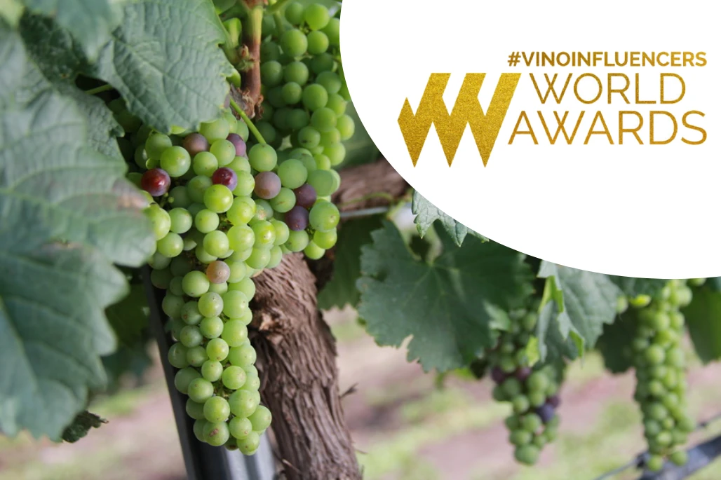 Vinoinfluencers World Awards
